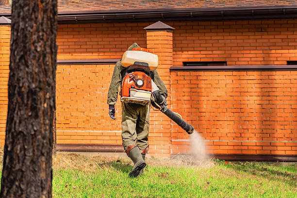 Trusted Termite Control service in Arden on the Severn, MD - Nex Pest Control